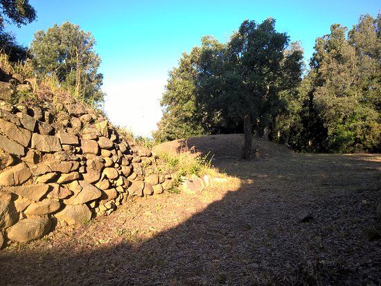 Area Archeologica Etrusca di Poggio Tondo
